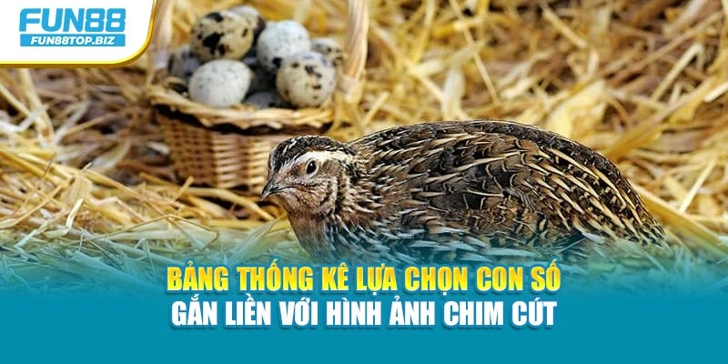 Bảng thống kê lựa chọn con số gắn liền với hình ảnh chim cút