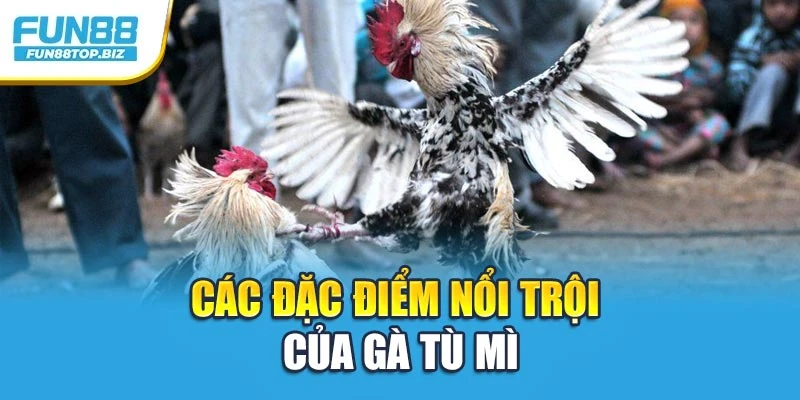Các đặc điểm nổi trội của gà Tù Mì