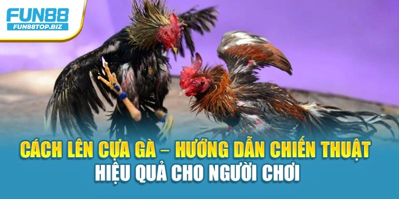 Cách Lên Cựa Gà – Hướng Dẫn Chiến Thuật Hiệu Quả Cho Người Chơi