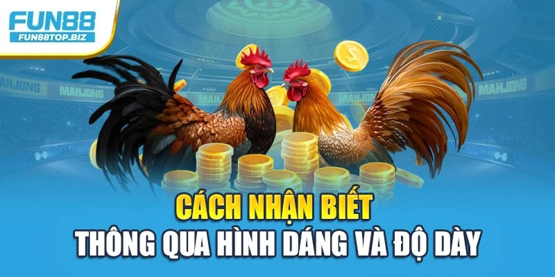 Cách nhận biết thông qua hình dáng và độ dày