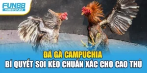 Đá Gà Campuchia – Bí Quyết Soi Kèo Chuẩn Xác Cho Cao Thủ