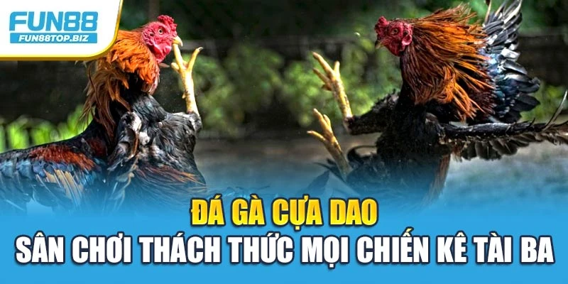 Đá Gà Cựa Dao – Sân Chơi Thách Thức Mọi Chiến Kê Tài Ba