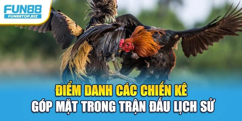 Điểm danh các chiến kê góp mặt trong trận đấu lịch sử