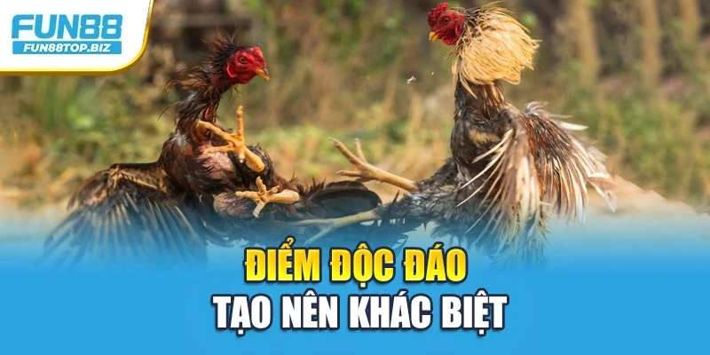 Điểm độc đáo tạo nên khác biệt
