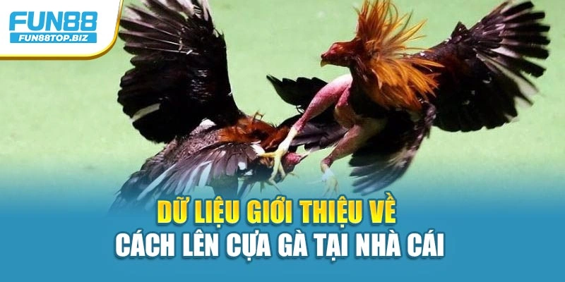 Dữ liệu giới thiệu về cách lên cựa gà tại nhà cái