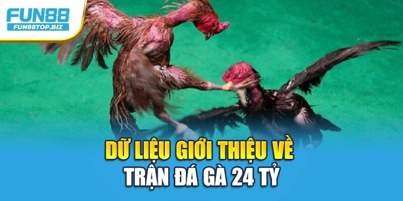 Dữ liệu giới thiệu về trận đá gà 24 tỷ