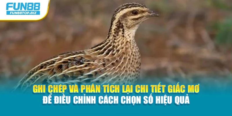 Ghi chép và phân tích lại chi tiết giấc mơ để điều chỉnh cách chọn số hiệu quả