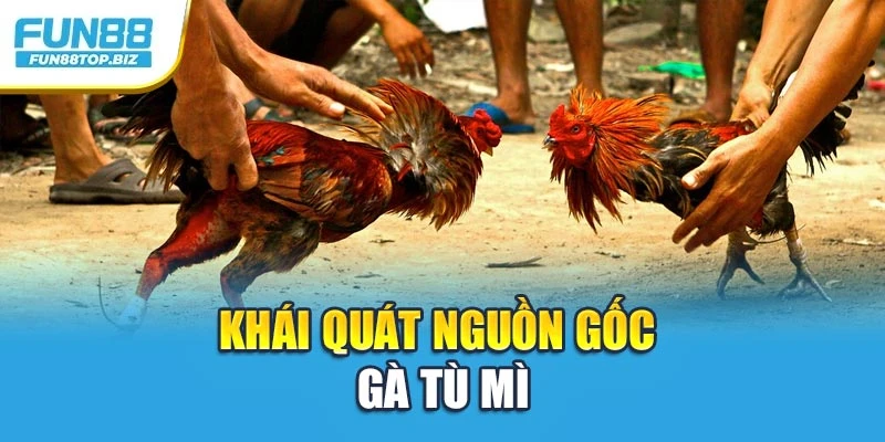 Khái quát nguồn gốc gà Tù Mì