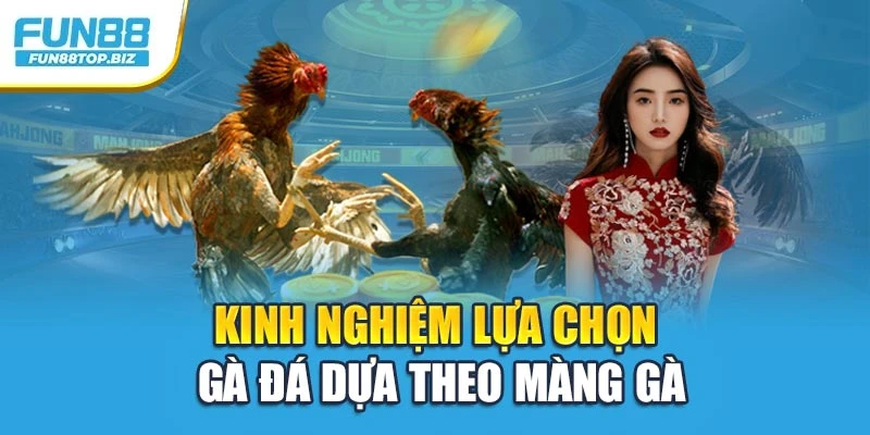 Kinh nghiệm lựa chọn gà đá dựa theo màng gà