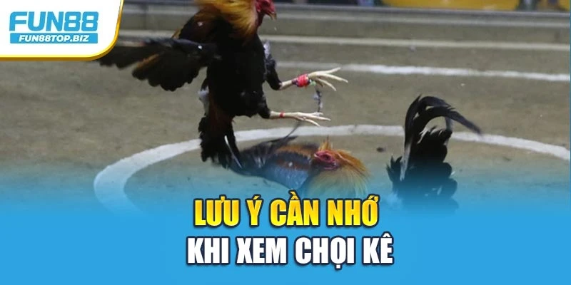 Lưu ý cần nhớ khi xem chọi kê
