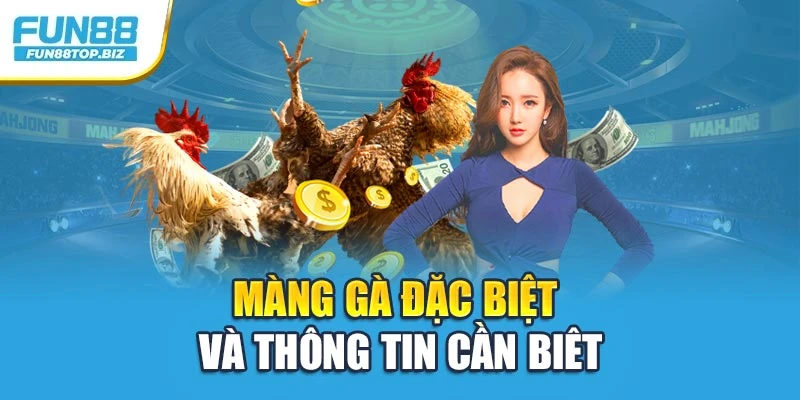 Màng gà đặc biệt và thông tin cần biêt