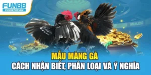 Mẫu Màng Gà – Cách Nhận Biết, Phân Loại Và Ý Nghĩa