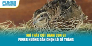 Mơ Thấy Cút Đánh Con Gì - Fun88 Hướng Dẫn Chọn Lô Dễ Thắng