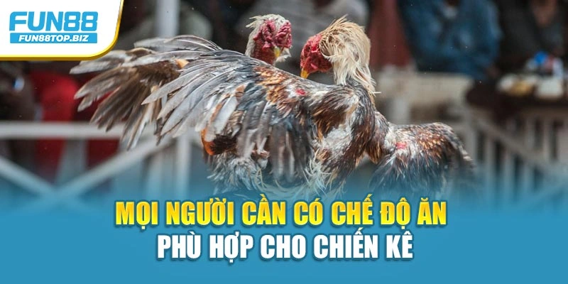 Mọi người cần có chế độ ăn phù hợp cho chiến kê