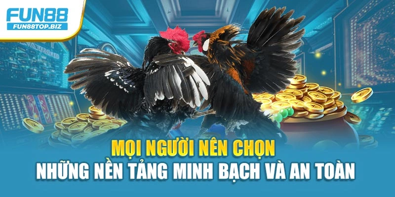 Mọi người nên chọn những nền tảng minh bạch và an toàn