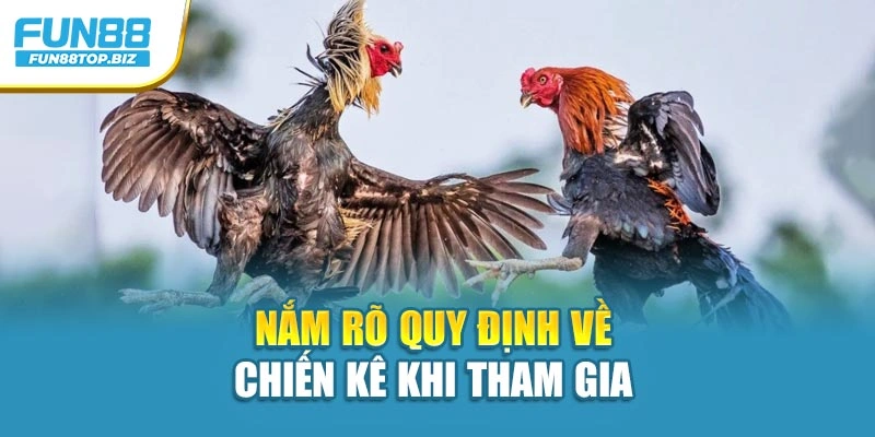 Nắm rõ quy định về chiến kê khi tham gia