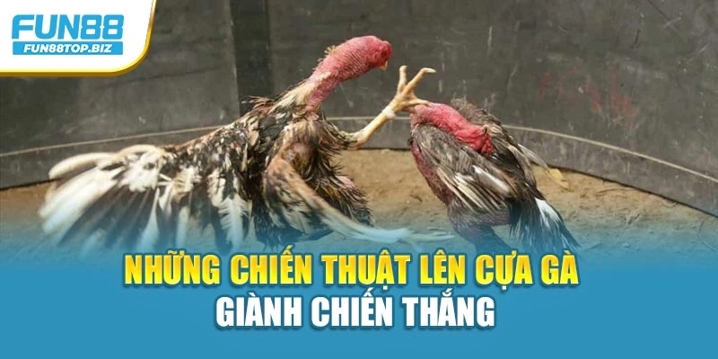 Những chiến thuật lên cựa gà giành chiến thắng