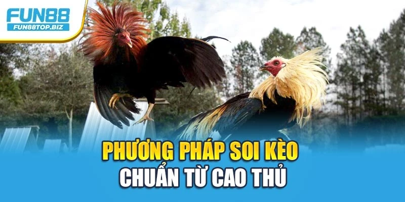 Phương pháp để soi kèo chuẩn từ cao thủ