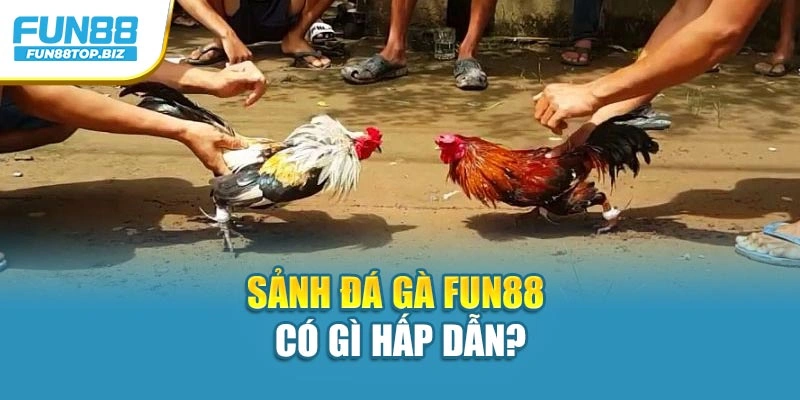 Sảnh đá gà FUN88 có gì hấp dẫn?