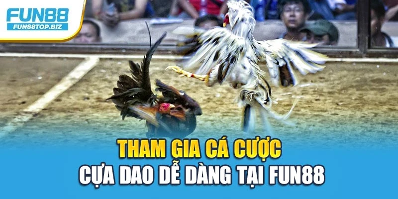 Tham gia cá cược cựa dao dễ dàng tại Fun88