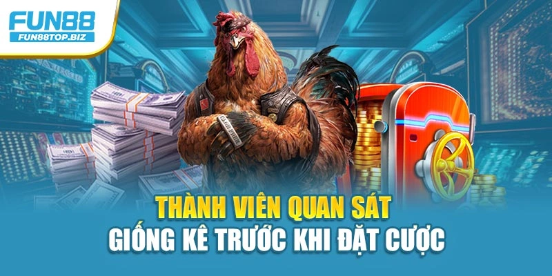 Thành viên quan sát giống kê trước khi đặt cược