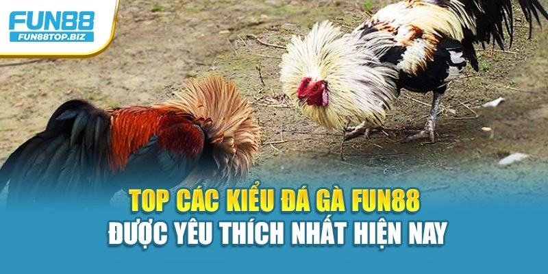 Top các kiểu đá gà FUN88 được yêu thích nhất hiện nay