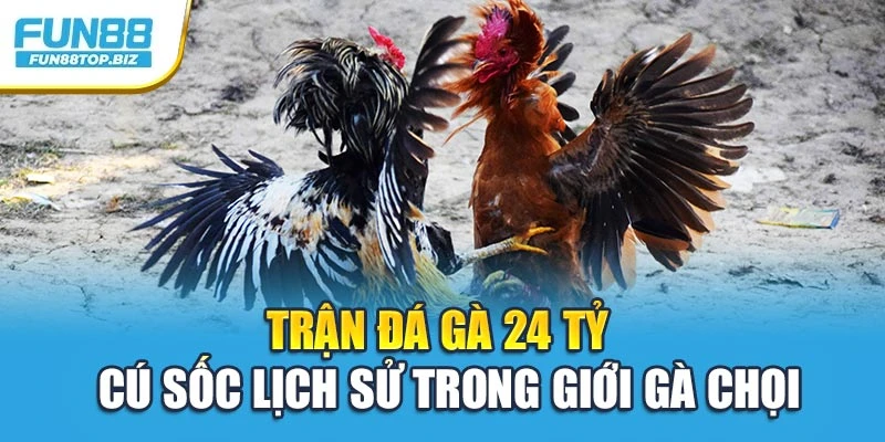 Trận Đá Gà 24 Tỷ – Cú Sốc Lịch Sử Trong Giới Gà Chọi