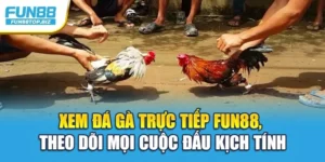 Xem Đá Gà Trực Tiếp Fun88, Theo Dõi Mọi Cuộc Đấu Kịch Tính